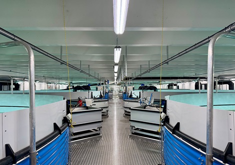 Fishtanks instide of Laxey fish farming