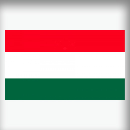 AVK Hungary