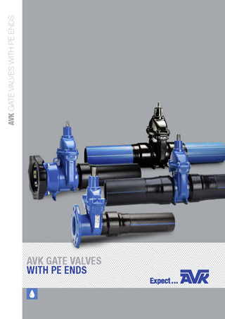 AVK product brochure about gate valves with PE ends