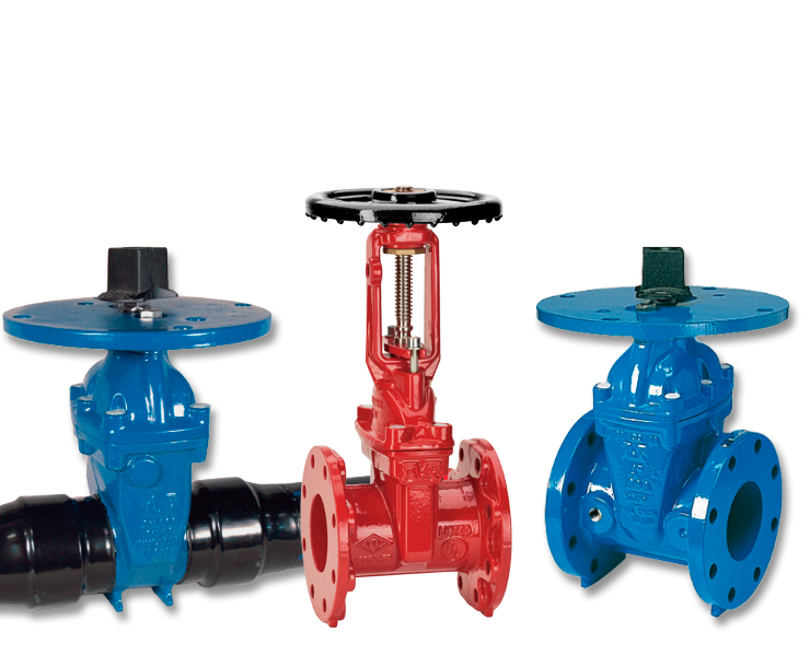 Outdoor gate valves for fire protection