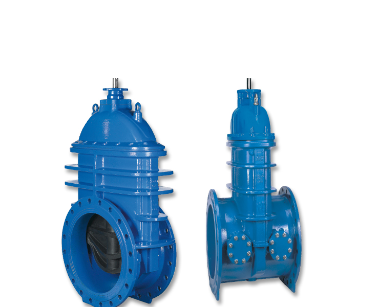 Gate valves for water transmission